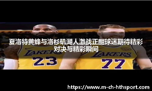 华体会hth sports