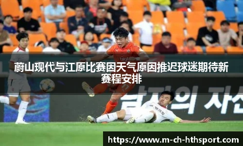 华体会hth sports